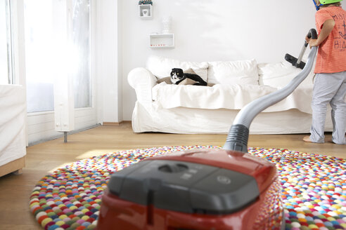 Junge im Wohnzimmer, der mit seiner Katze das Sofa absaugt - FSF000277