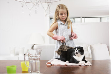 Mädchen zu Hause putzt Katze auf Esstisch - FSF000283