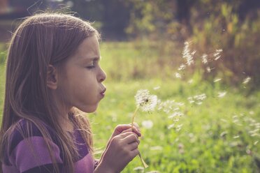 Little girl blowing blowball - SARF000937