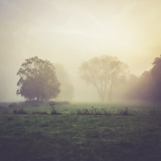 Landschaft im Nebel - SARF000938