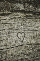 Heart carved in wood - UUF002302