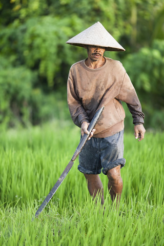 Indonesien, Bali, Mann arbeitet auf dem Feld, lizenzfreies Stockfoto