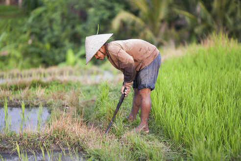 Indonesien, Bali, Mann arbeitet auf dem Feld - NNF000057