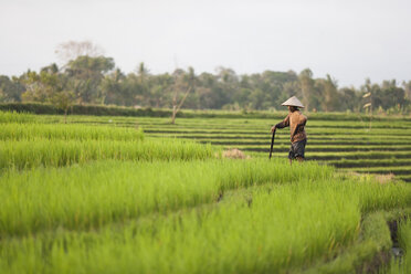 Indonesia, Bali, man working in the field - NNF000058