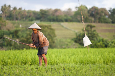 Indonesia, Bali, man working in the field - NNF000059