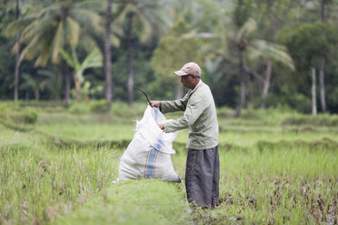 Indonesia, Lombok, man working in field - NNF000062