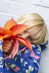Porträt eines kleinen Mädchens, das durch einen Strauß Herbstblätter blickt - JFEF000493