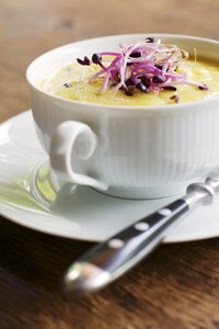 Suppe mit Kartoffeln, Blumenkohl und Karotten, garniert mit roten Rettichsprossen - HAWF000488