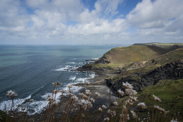 Vereinigtes Königreich, England, Cornwall, Atlantikküste, High Cliff - PAF001016