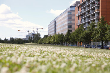 Deutschland, Berlin, Sommerwiese am Potsdamer Platz - FKF000730