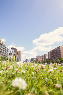 Deutschland, Berlin, Sommerwiese am Potsdamer Platz - FKF000732