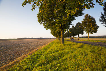 Germany, Baden-Wuerttemberg, Einsiedel, view to harvested field and tree-lined road with convertible at autumn - LVF002063