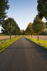 Germany, Baden-Wuerttemberg, Einsiedel, empty tree-lined road at sunlight - LVF002062