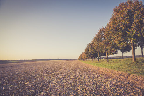 Germany, Baden-Wuerttemberg, Einsiedel, view to harvested field at autumn sunlight - LVF002066