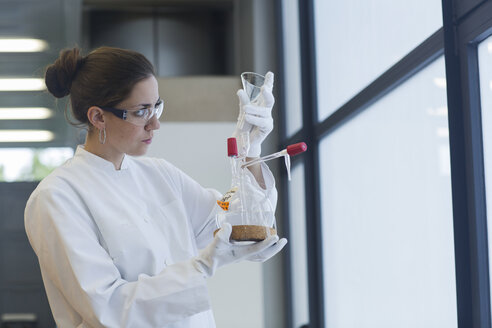 Young female scientist working in a chemical lab - SGF000899