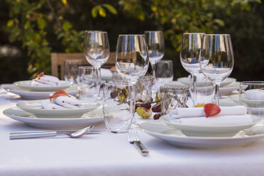 Autumnal laid table in garden - WDF002725