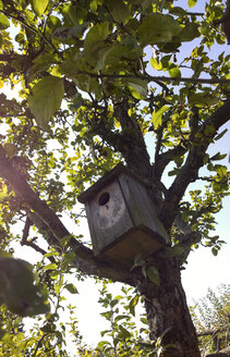 Deutschland, Berlin, Vogelhaus im Garten - CMF000179