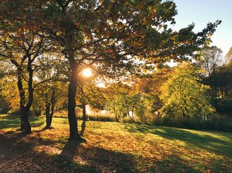 Germany, Munich, Autumn at West Park - GSF000903