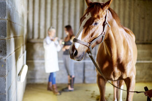 Pferd im Stall mit jugendlichem Mädchen und Tierarzt im Hintergrund - ZEF001733
