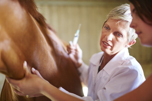 Tierarzt bei der Untersuchung eines Pferdes im Stall - ZEF001738