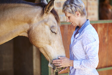 Frau füttert Pferd mit Stroh - ZEF001770