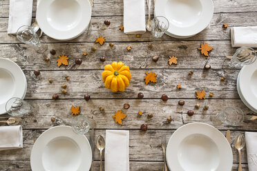 Autumnal laid table with yellow pumpkin, chestnuts and acorns - LVF002094