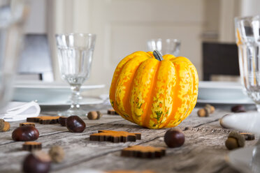 Yellow pumpkin, chestnuts and acorns on an autumnal laid table - LVF002096