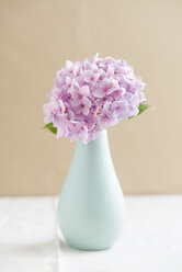 Flower vase with blossom of pink hydrangea - ECF000736