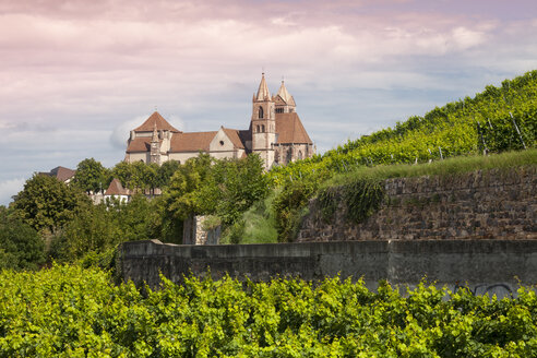 Deutschland, Baden-Württemberg, Breisach, Eckartsberg Weinberg und Breisacher Münster im Hintergrund - WIF001137