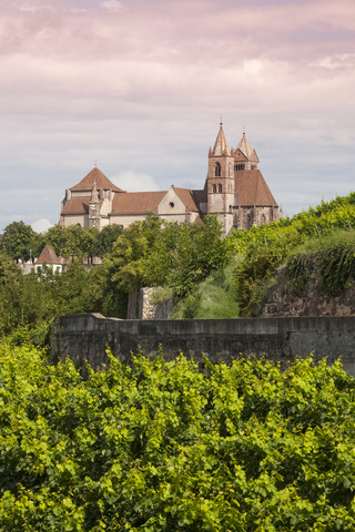 Germany, Baden-Wuerttemberg, Breisach, Eckartsberg vineyard and Breisach Minster in the background stock photo