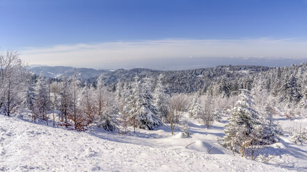 Deutschland, Baden-Württemberg, Schwarzwald, schneebedeckte Landschaft - PUF000114