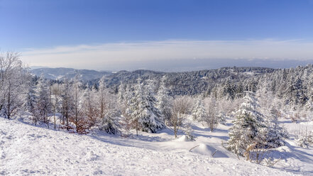 Germany, Baden-Wuerttemberg, Black Forest, snow-covered landscape - PUF000114