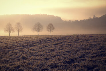 Germany, Baden-Wurttemberg, Fields in winter morning mist - LVF002153