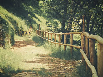 monteviasco, italy, lago maggiore, forest, path, - DSCF000166