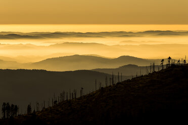 Deutschland, Bayern, Nationalpark Bayerischer Wald, Blick vom Großen Arber mit Nebelschwaden bei Sonnenuntergang - STSF000557