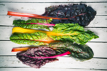 Row of fresh chard leaves on white wood - SARF000965