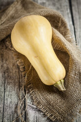 Butternusskürbis, Cucurbita moschata, auf Sackleinen - SBDF001370