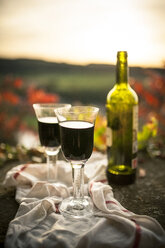 Eine Flasche Rotwein und zwei Gläser in der Abendsonne - SBDF001410