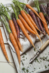 Zwei verschiedene Arten von Möhren, Daucus carota, mit Grünzeug auf Tuch und Holz - SBDF001426