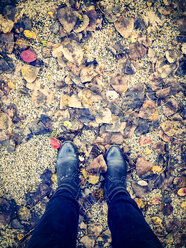 Legs on gravel path - SARF000971