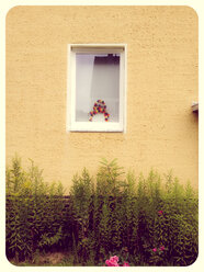 Decoration in window - EVGF000988