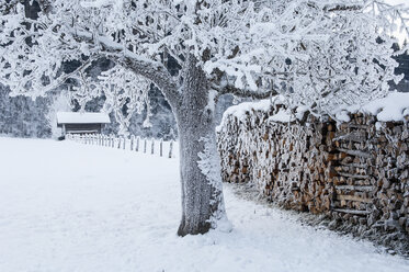 Austria, Salzburg State, Piles of wood in winter - HHF004942