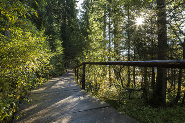 Germany, Bavaria, Bavarian Forest National Park, Wooden boardwalk at Lake Grosser Abersee - STSF000555