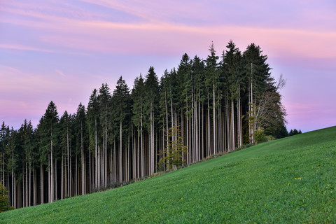 Germany, Bavaria, Allgaeu, landscape at Auerberg stock photo