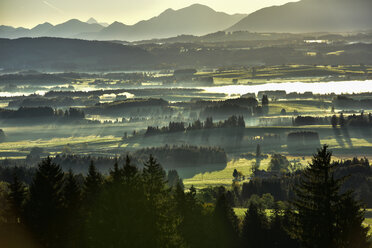 Germany, Bavaria, Allgaeu, landscape in morning fog at Auerberg - FDF000079