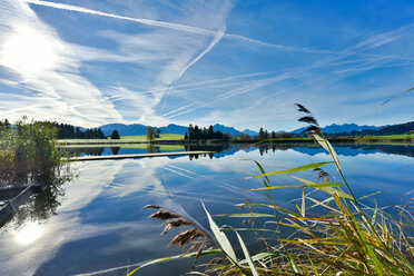 Deutschland, Bayern, Allgäu, Landschaft mit See bei Füssen - FDF000071