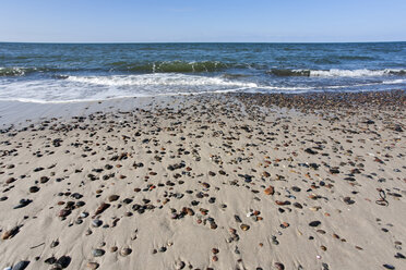 Deutschland, Nationalpark Vorpommersches Haffgebiet, Ostseestrand bei Prerow - ZCF000186