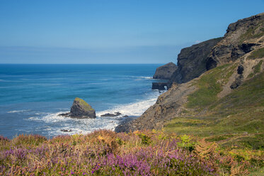 United Kingdom, England, Cornwall, Boscastle, High Cliff at Cornisch North Coast - FRF000080