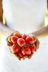 Hände einer Frau halten Tomaten - ZEF001879