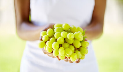 Woman's hands holding green grapes - ZEF001885